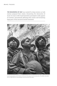 Make Peace: A Strategic Guide for Achieving Lasting Peace In Israel - Paperback Edition