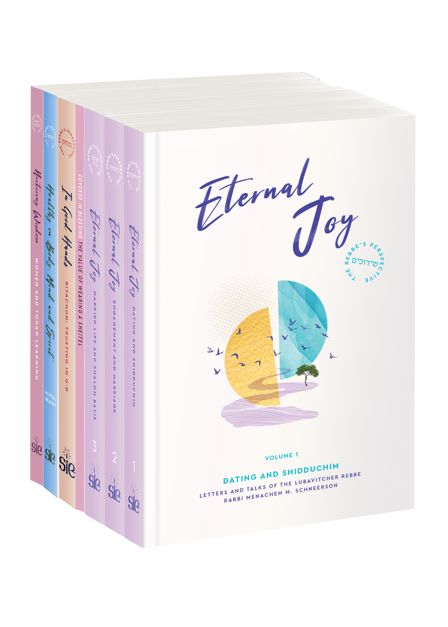 The Rebbe's Perspective Series